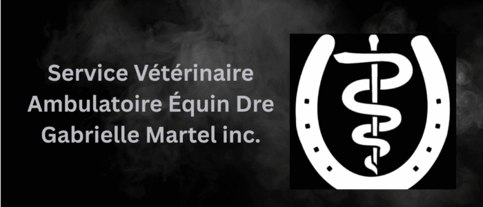 Service Vétérinaire Équin, Dr. Jocelyn Sévigny Québec, PQ